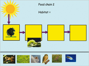 IWB screen showing food chain interactivity